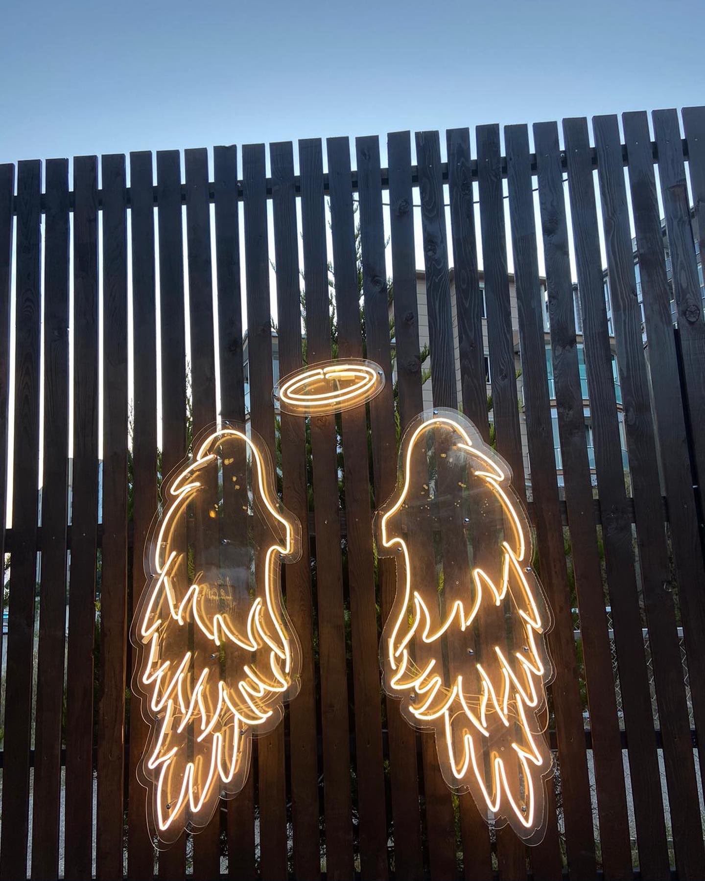 Angel Wings