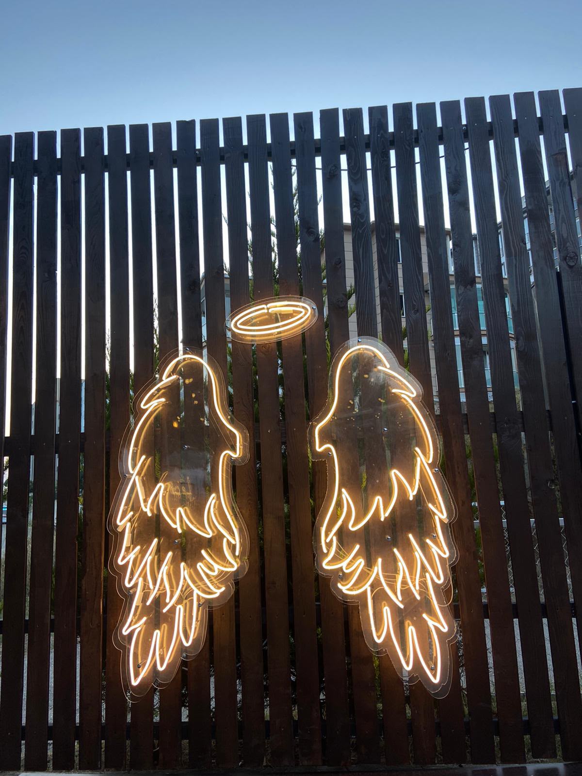 Angel Wings 2